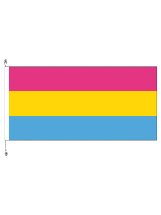 Pansexual Pride Horizontal Flag || 1800x900mm