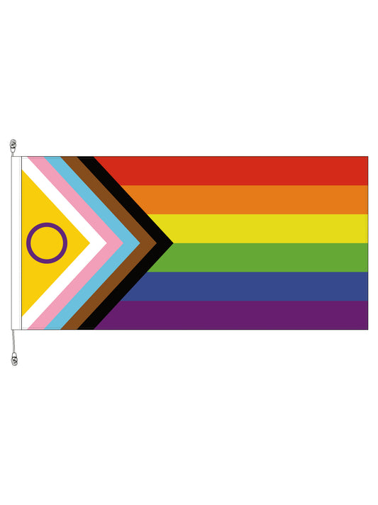 Intersex Progressive Pride Horizontal Flag || 1800x900mm