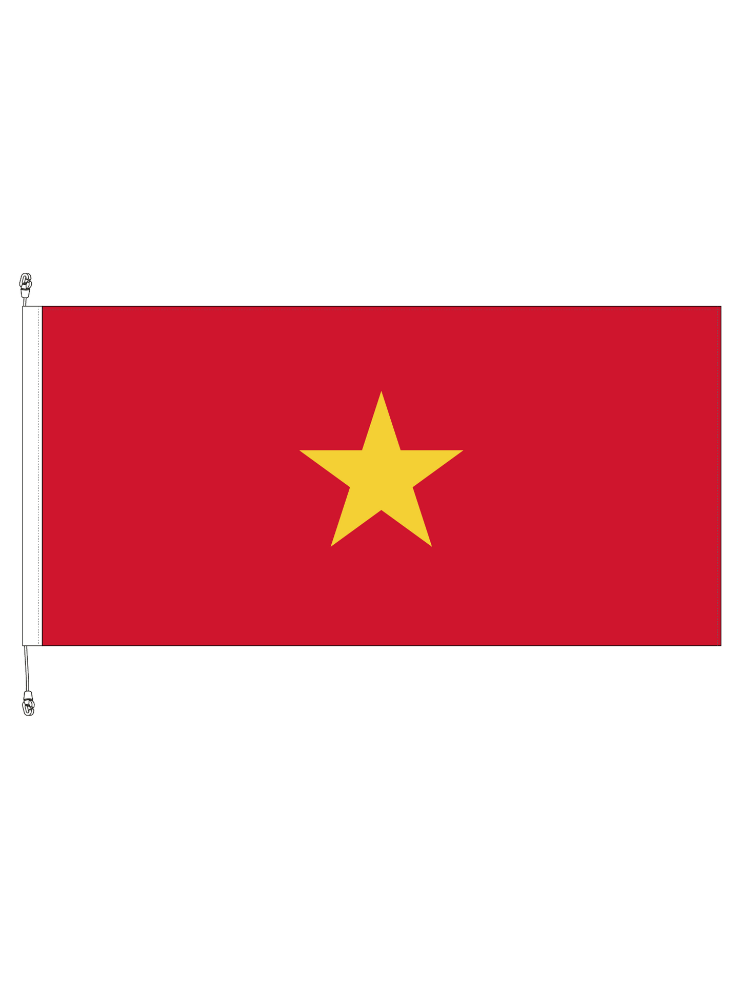 Vietnam Flag